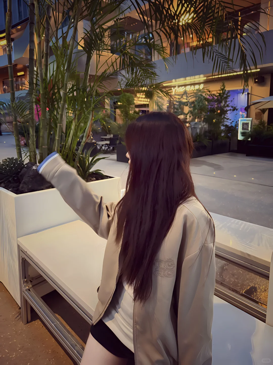 这期是我定制的头像