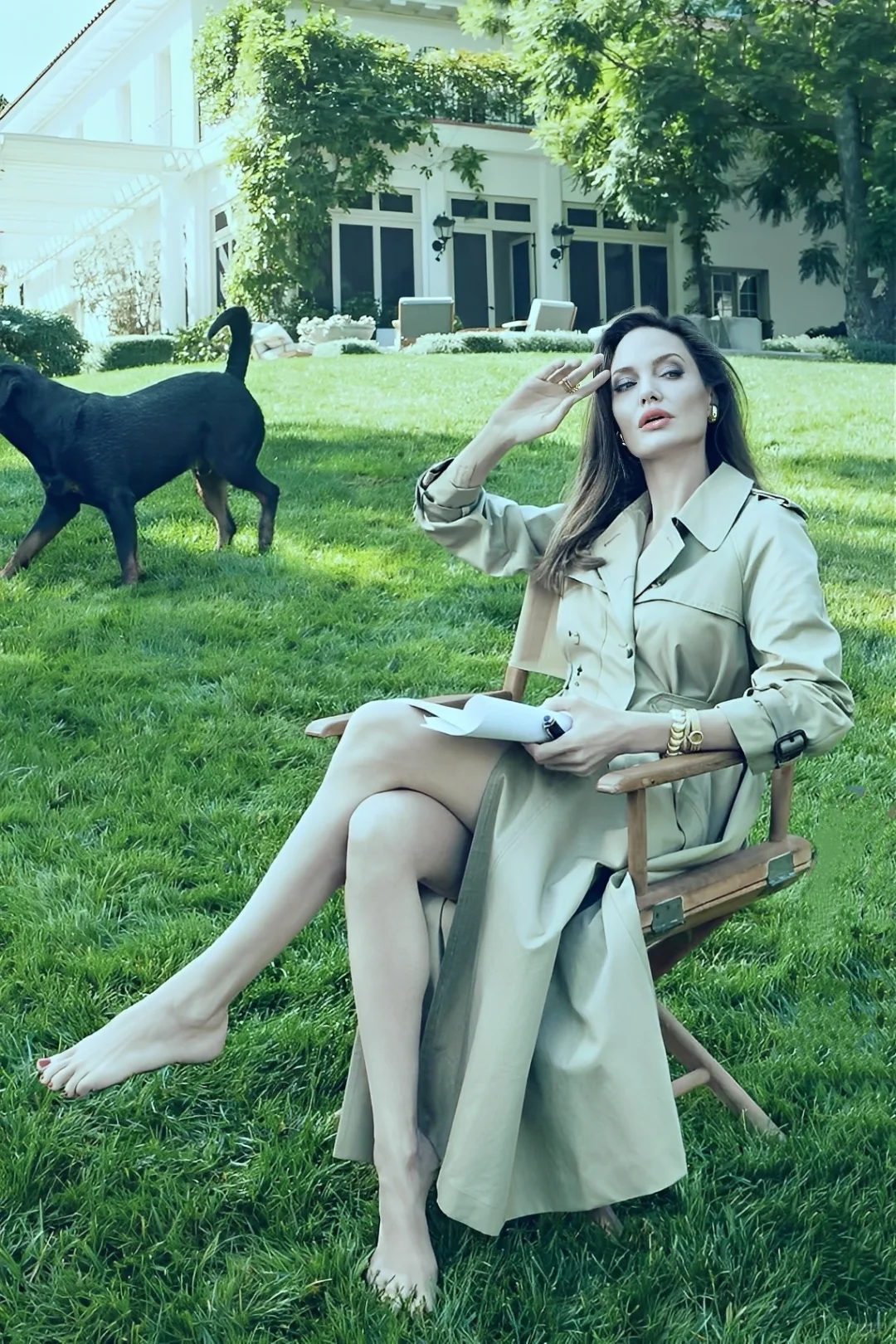 安吉丽娜•朱莉