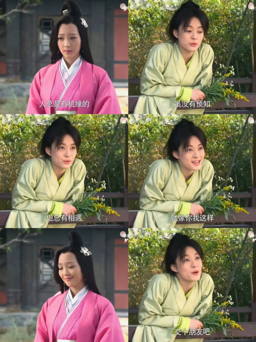 芈月好厉害用一束不起眼的花钓到了一个美人