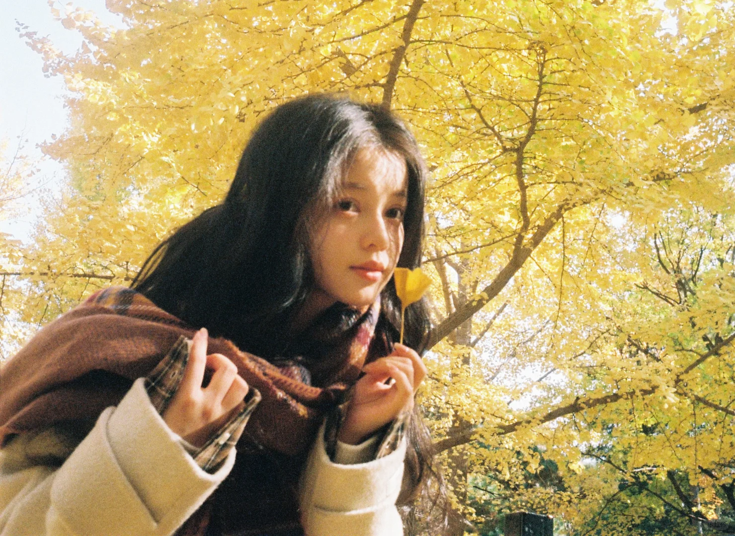 🎞秋天的胶片当然要秋天发