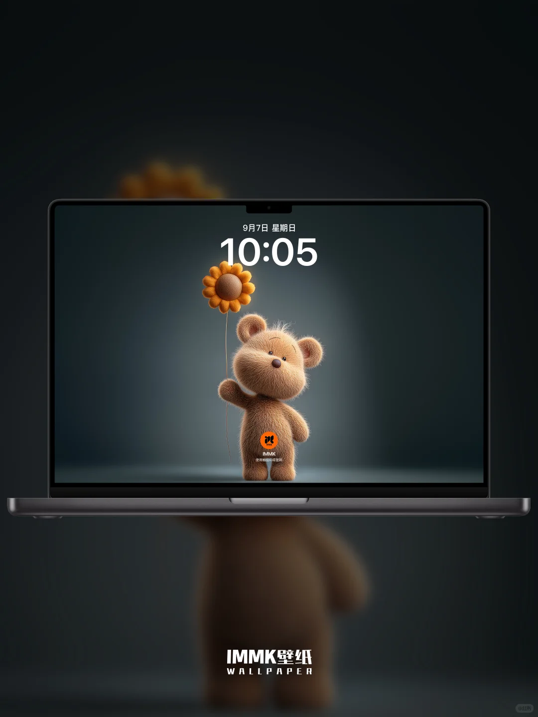 小熊和向日葵的约定，藏在每片金黄花瓣里