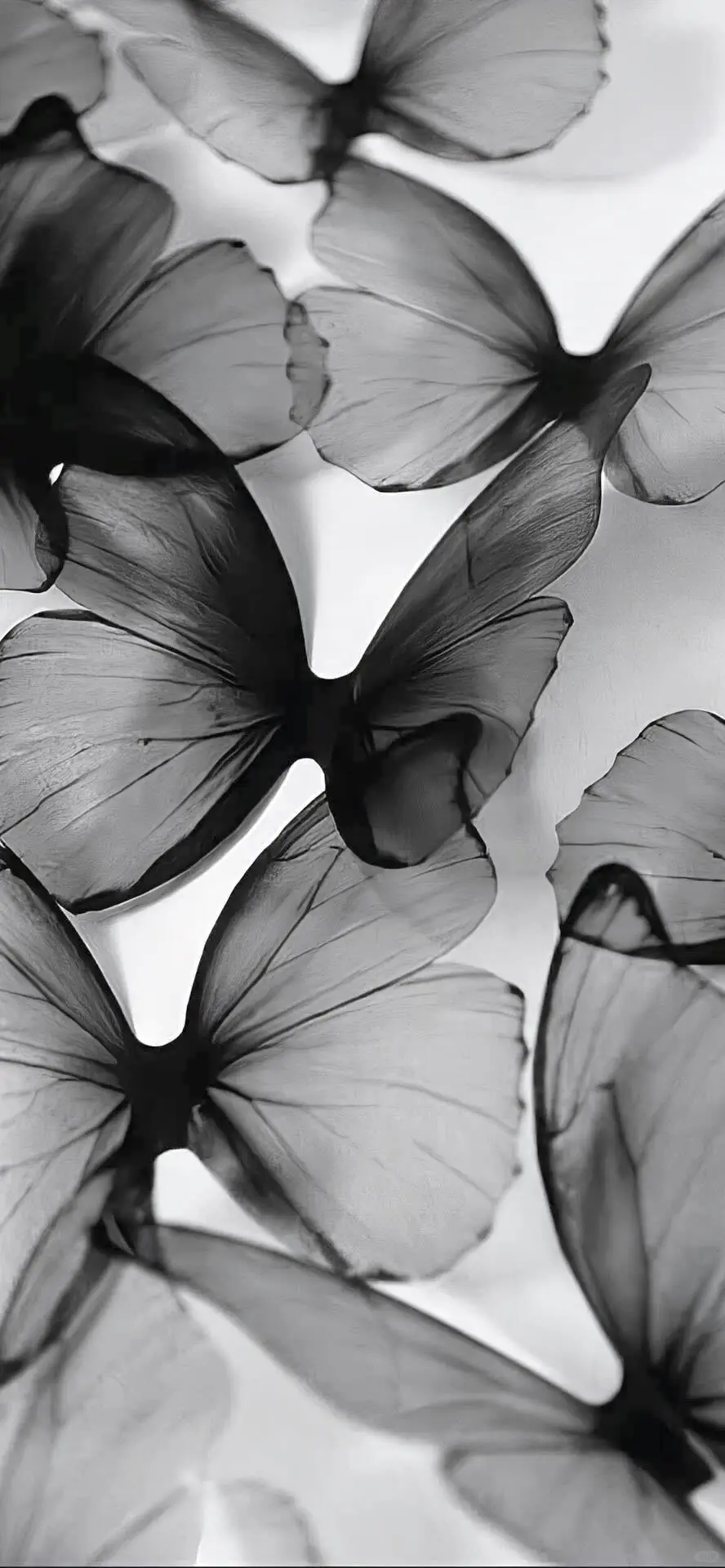 性感女神锁屏壁纸