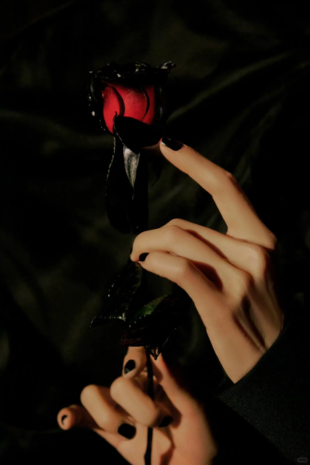 杨幂 VOGUE 盛典！妖艳的紫罗兰～