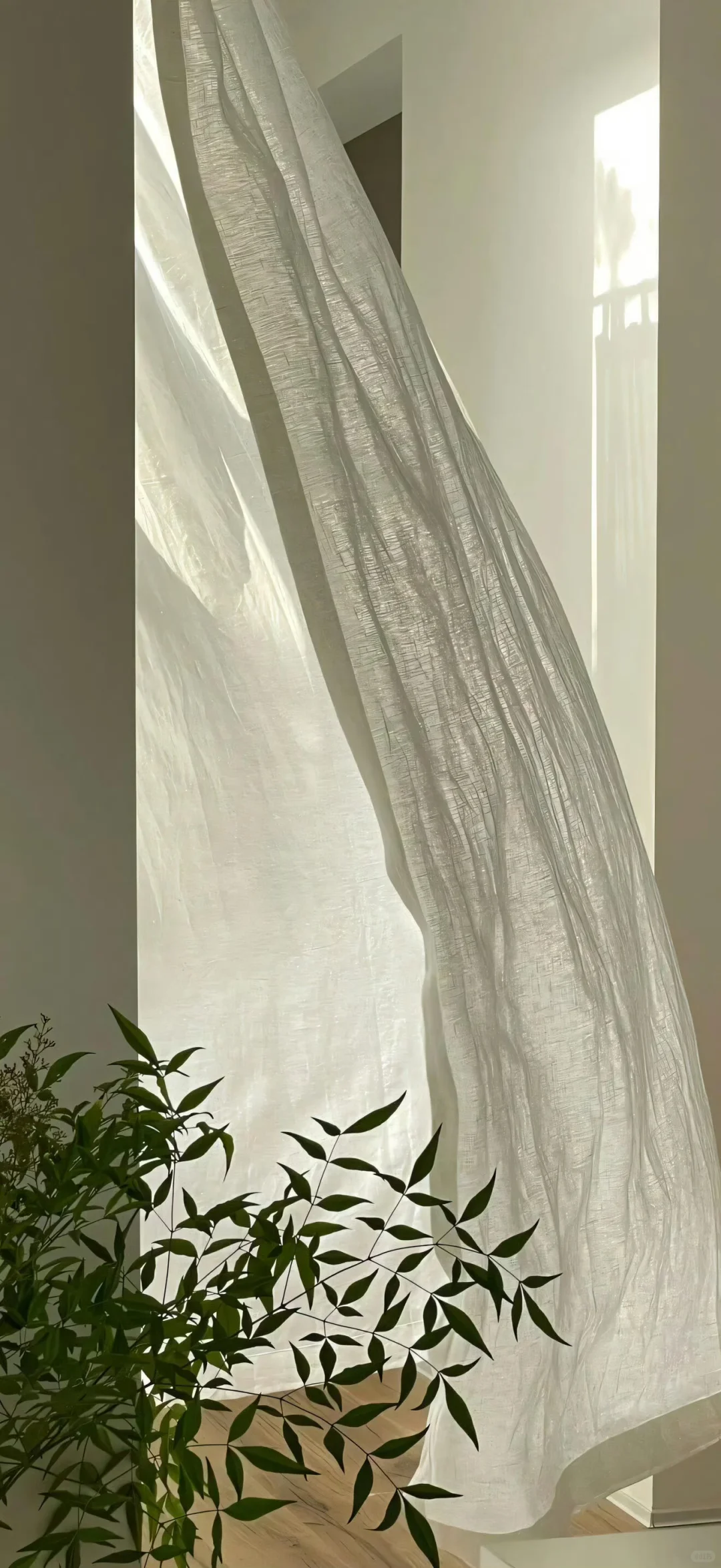 𝒔𝒉𝒂𝒓𝒆 | 冷淡风壁纸