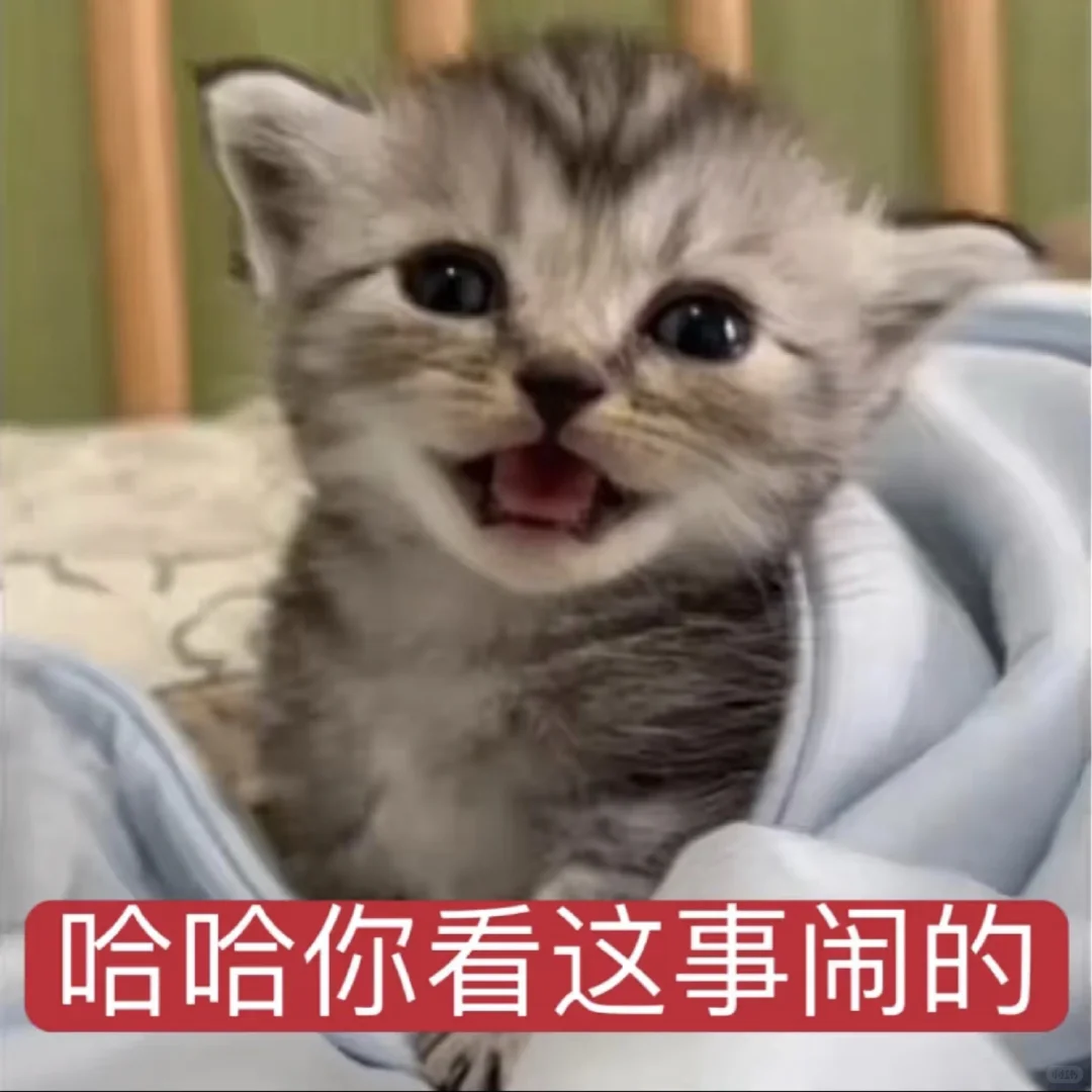 我爱你呀宝宝【审美积累第十二弹】