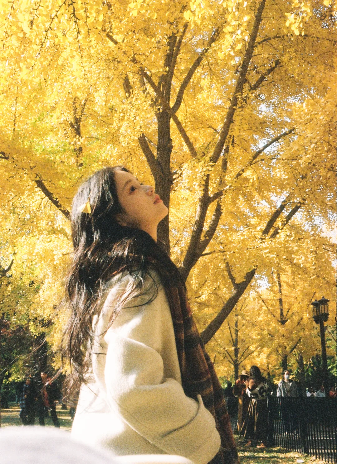 🎞秋天的胶片当然要秋天发