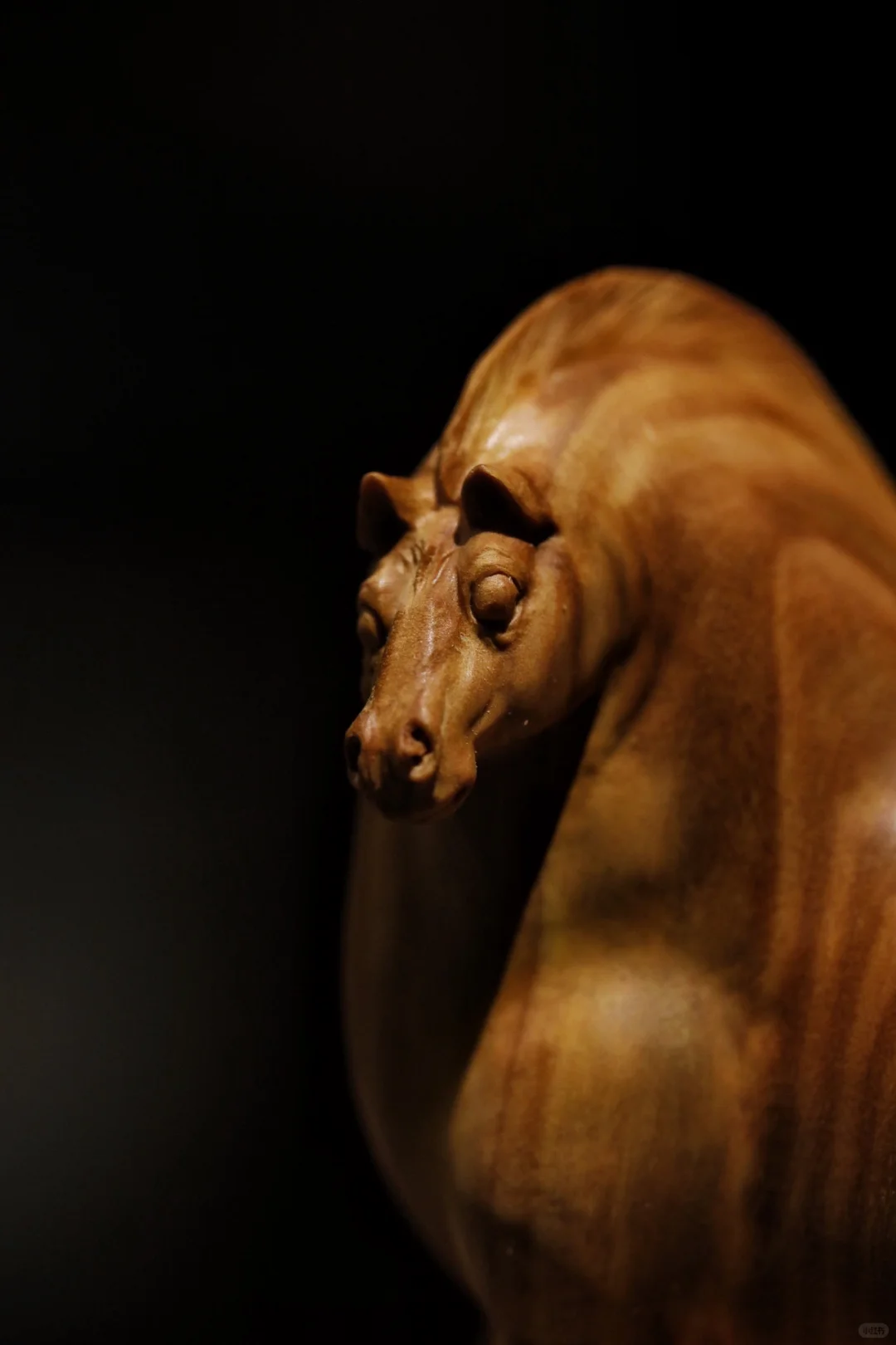 小马悠哉，静谧时光。