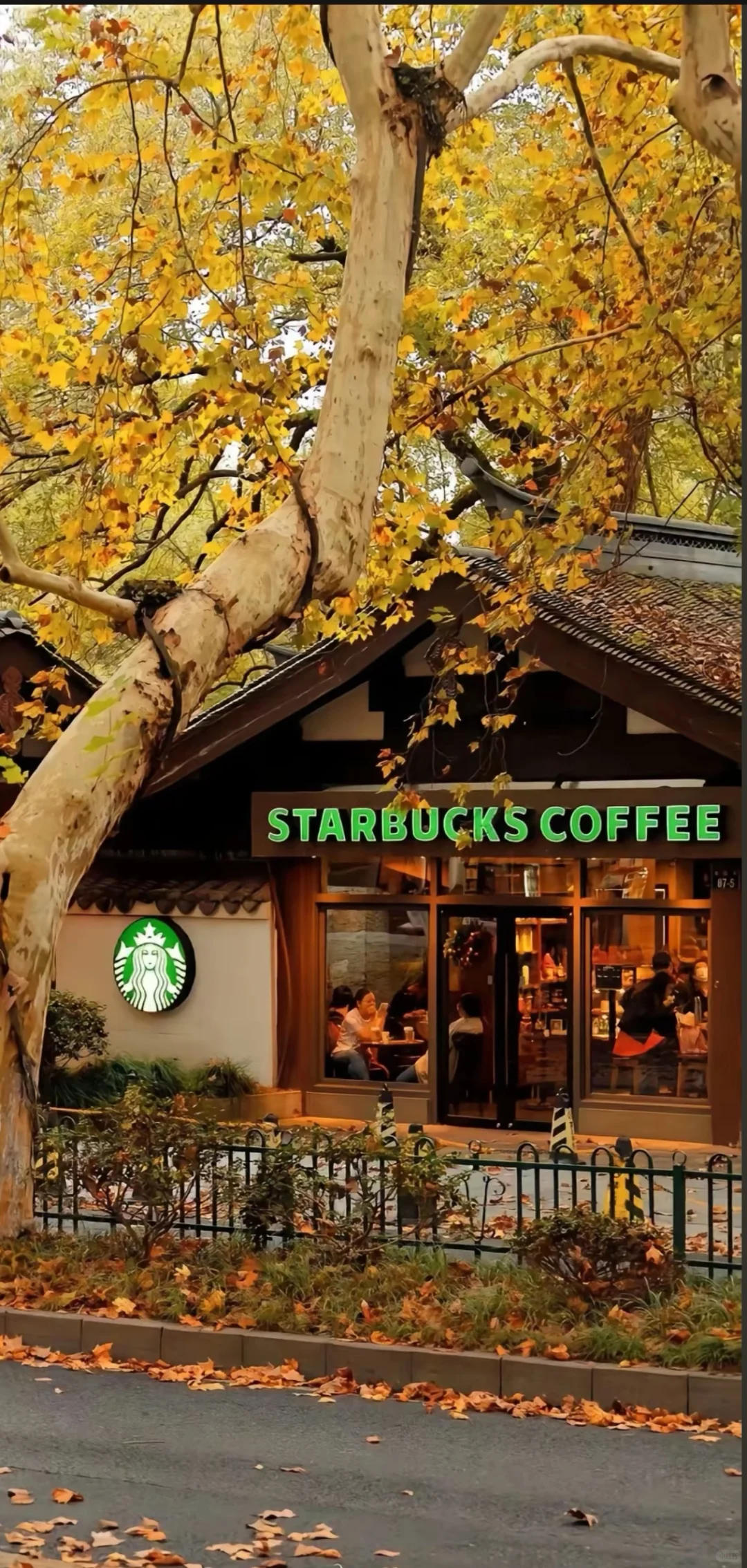 被问爆的秋日壁纸！每一张都像把秋天揣兜里