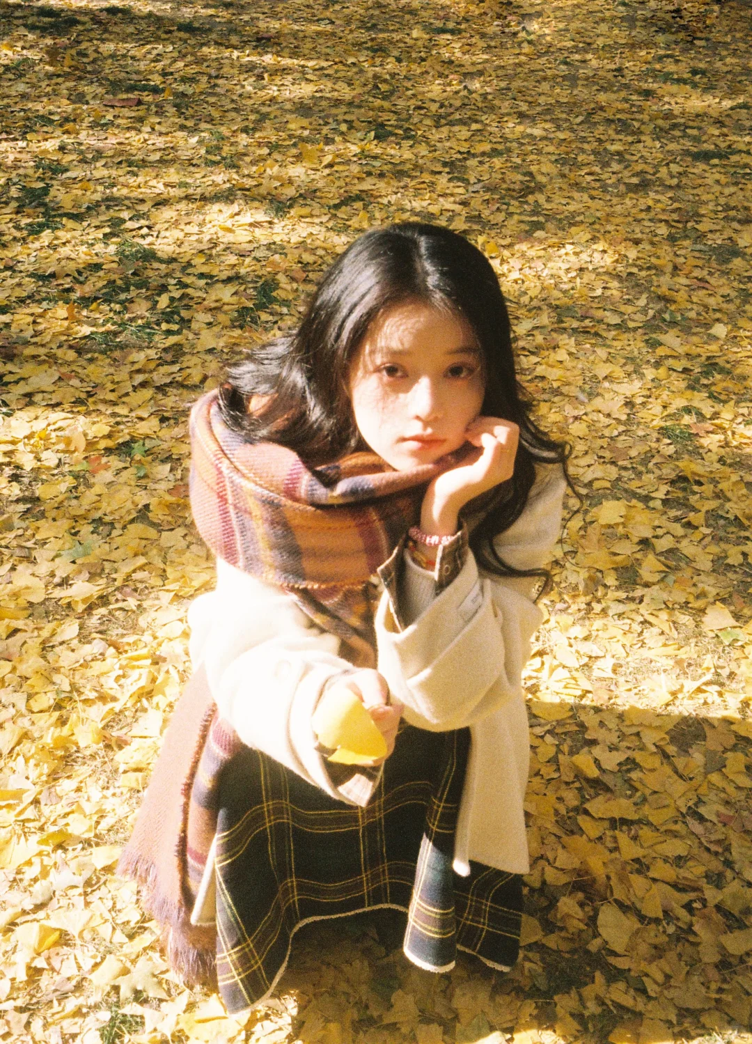 🎞秋天的胶片当然要秋天发