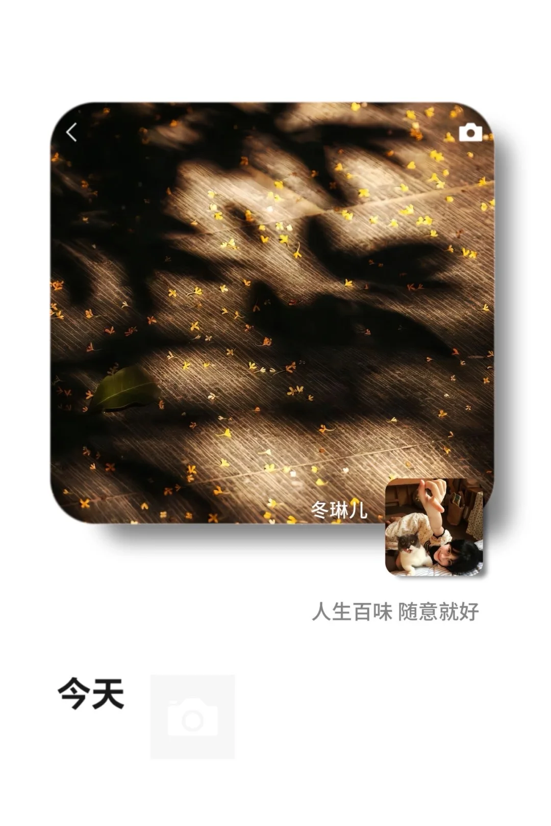 ①①期  WeChat氛围感背景图头像套图