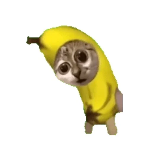 哈哈哈哈这才是大学生爱用的动态表情包