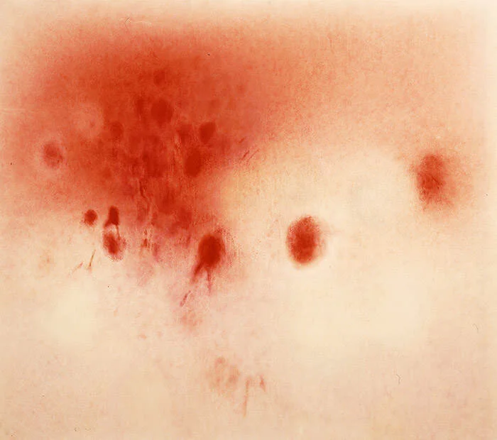 每日插画| 虚幻和现实的光影撩拨情绪