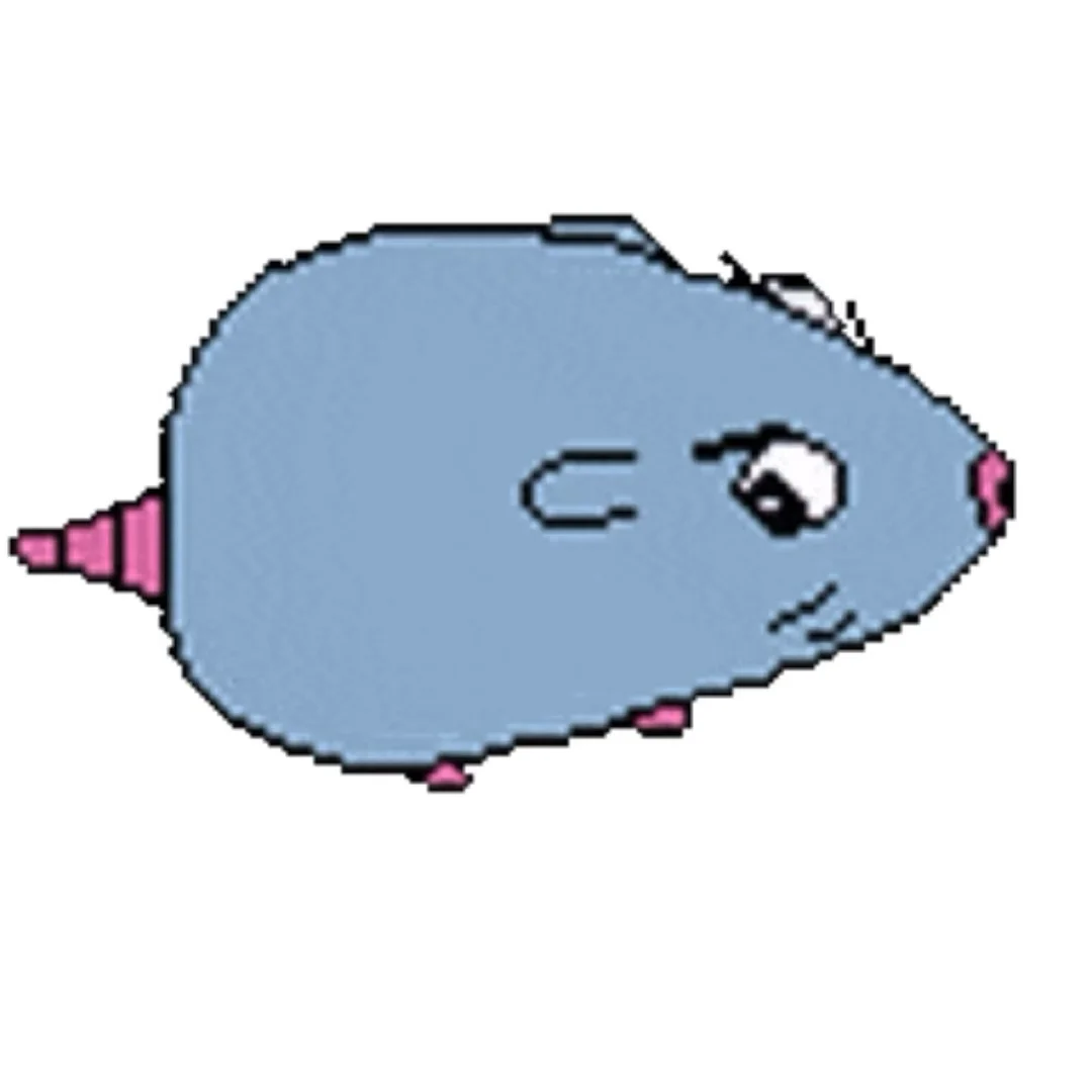 小妹妹一个人上网吗😍