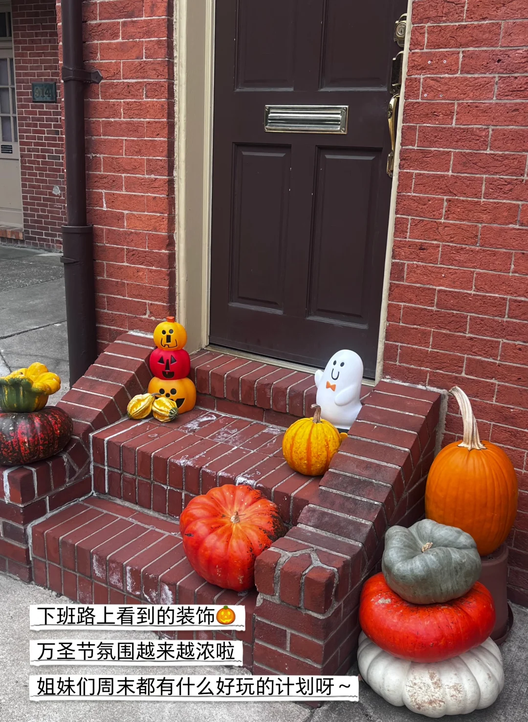 Day28 多囊营养学留子｜允许情绪 拥抱生活