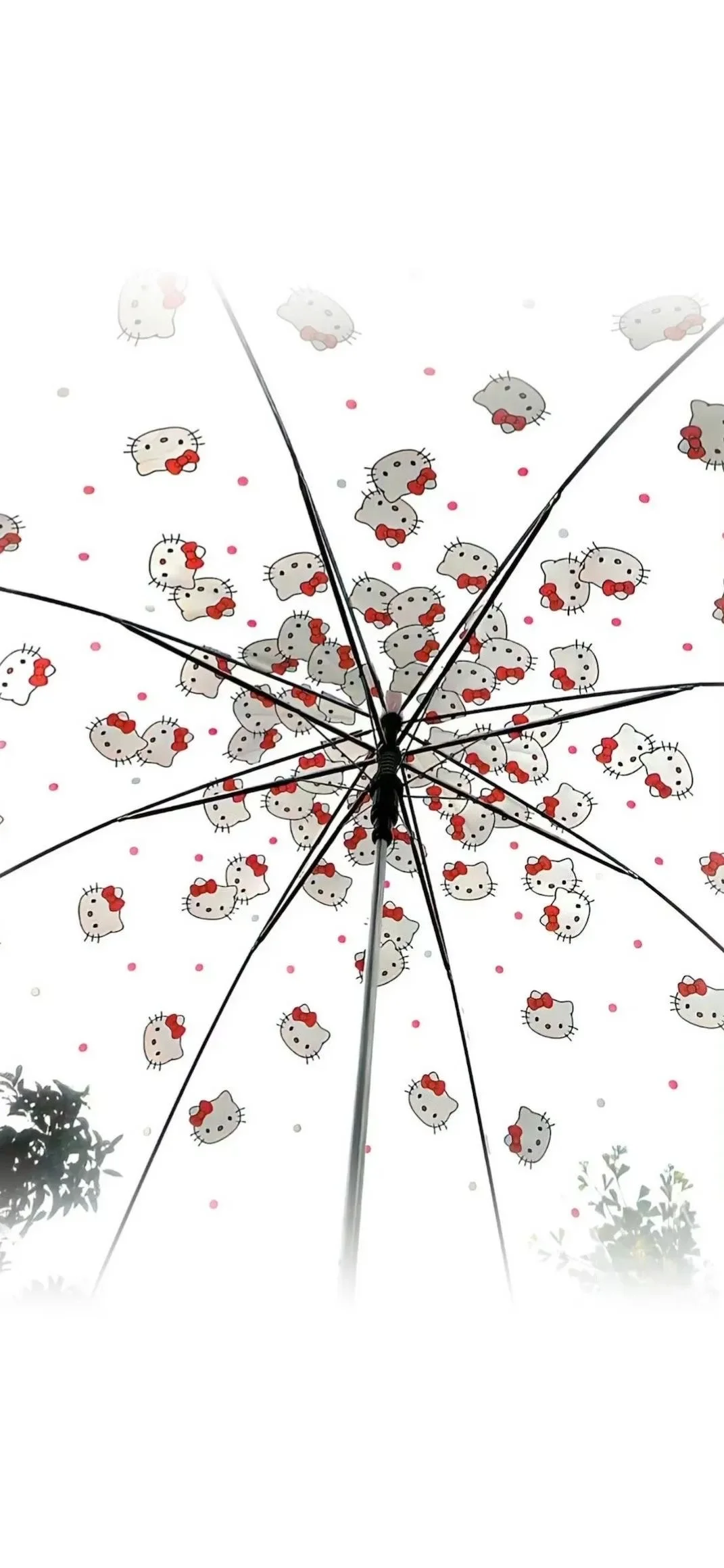 权威壁纸｜巧合