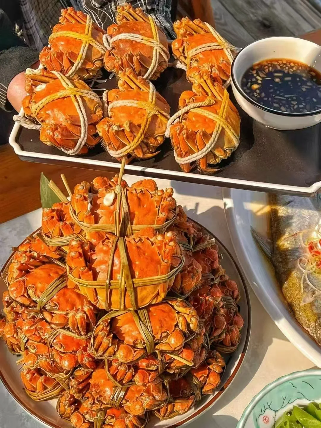 兴化大闸蟹火热预售中