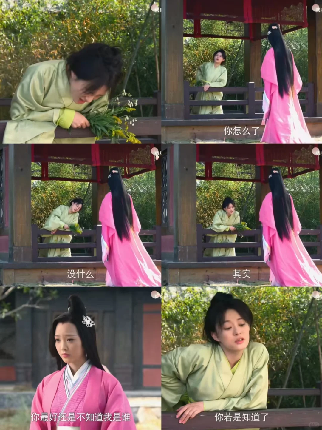 芈月好厉害用一束不起眼的花钓到了一个美人