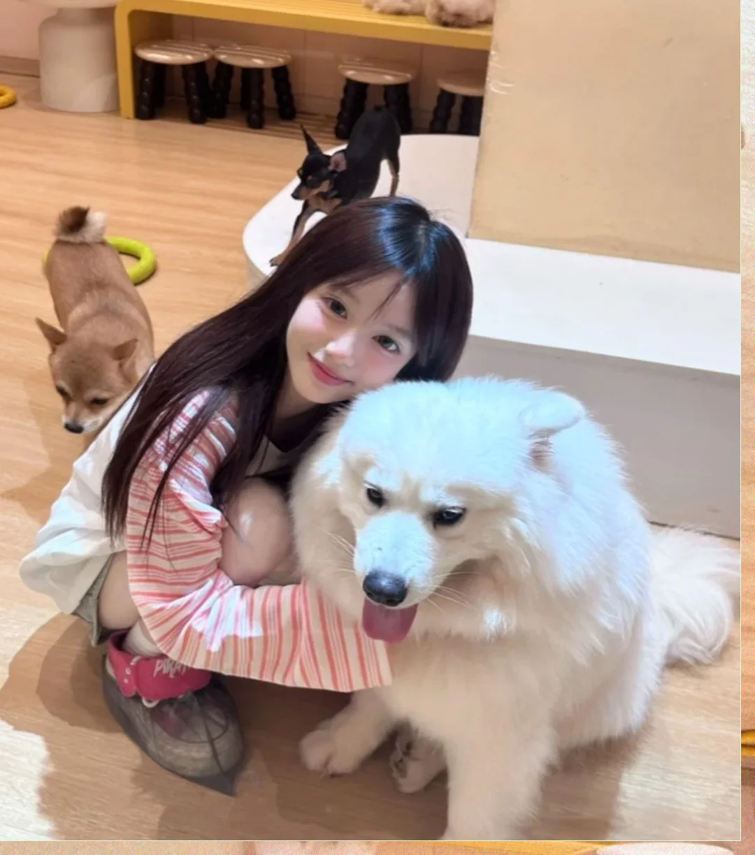 女生专属 wechat 头像，惊艳你的视