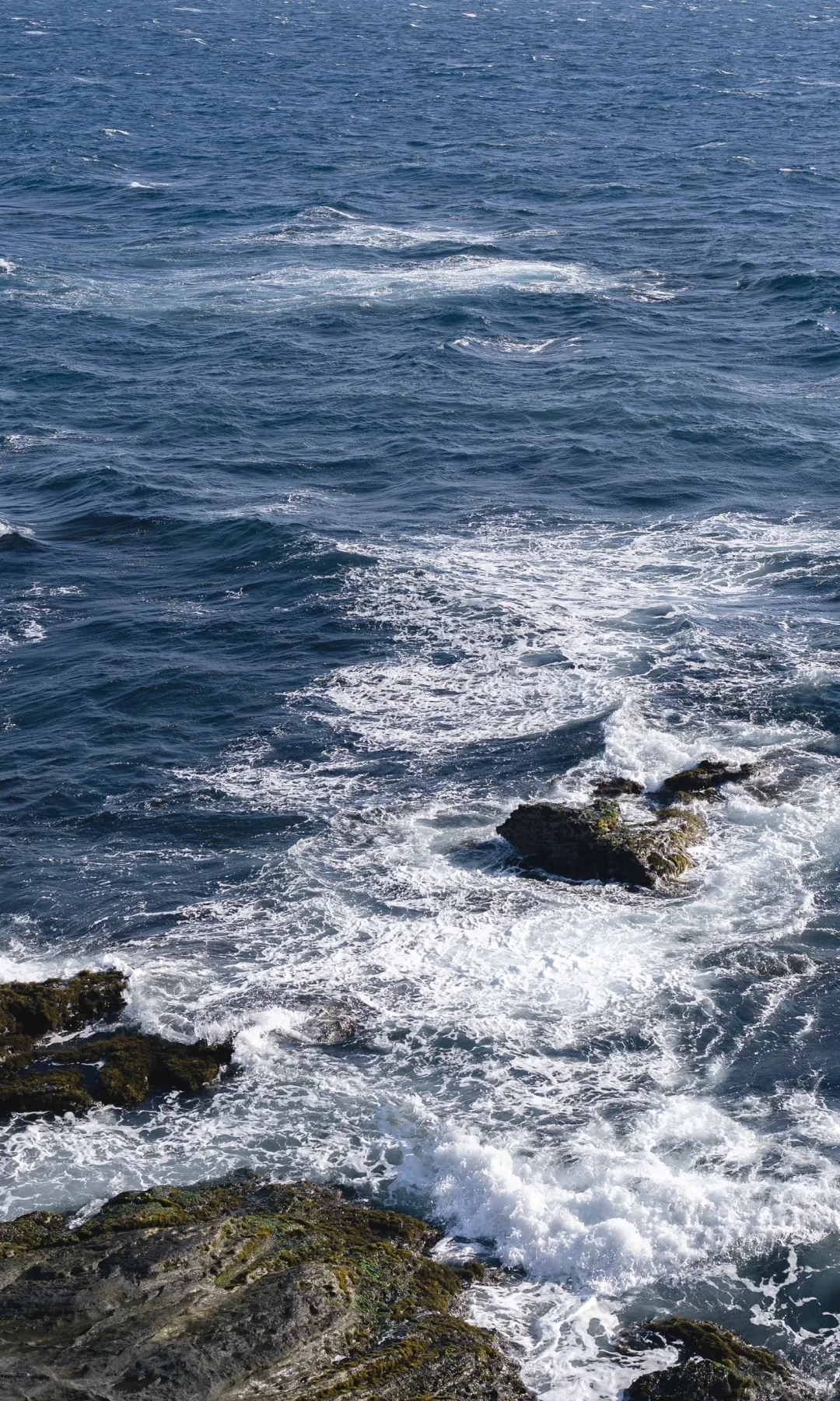 全屏封神挑战｜日本旅行机位分享
