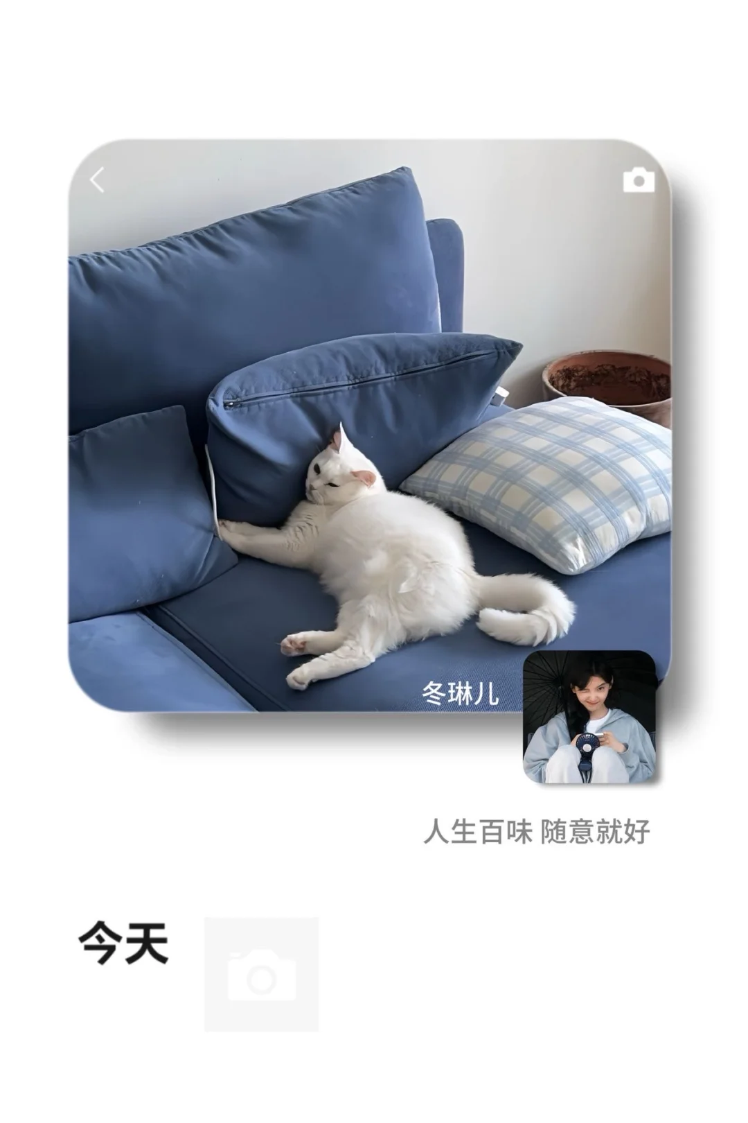 ①①期  WeChat氛围感背景图头像套图