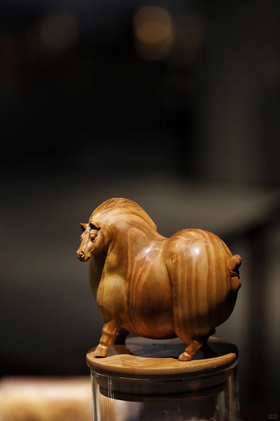 小马悠哉，静谧时光。