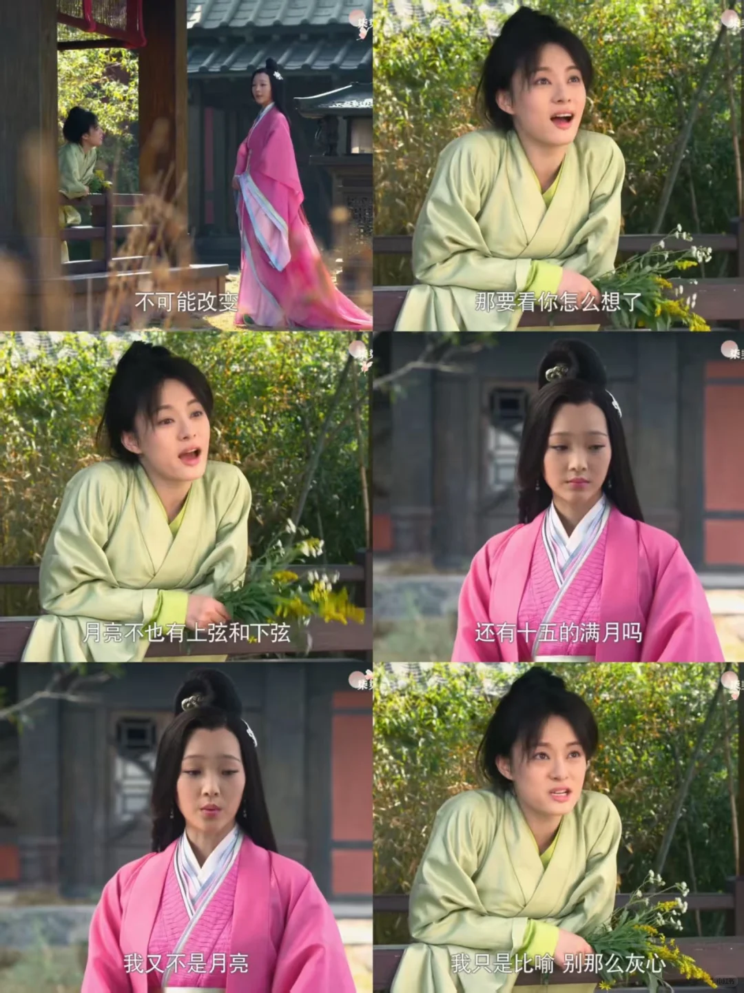 芈月好厉害用一束不起眼的花钓到了一个美人