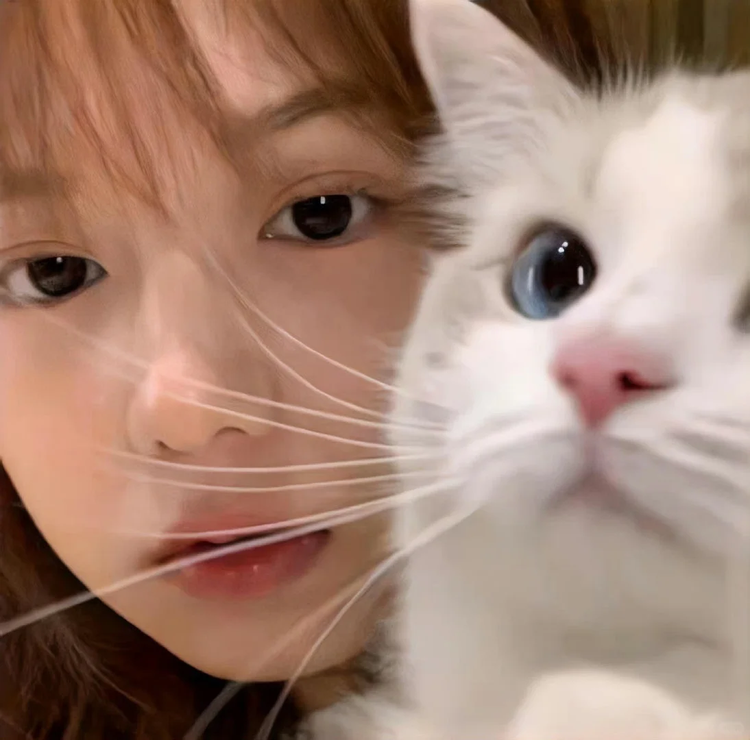 𝙒𝙚𝘾𝙝𝙖𝙩女生头像🎧