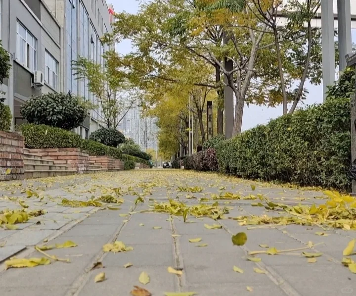 50+阿姨穿搭/秋天