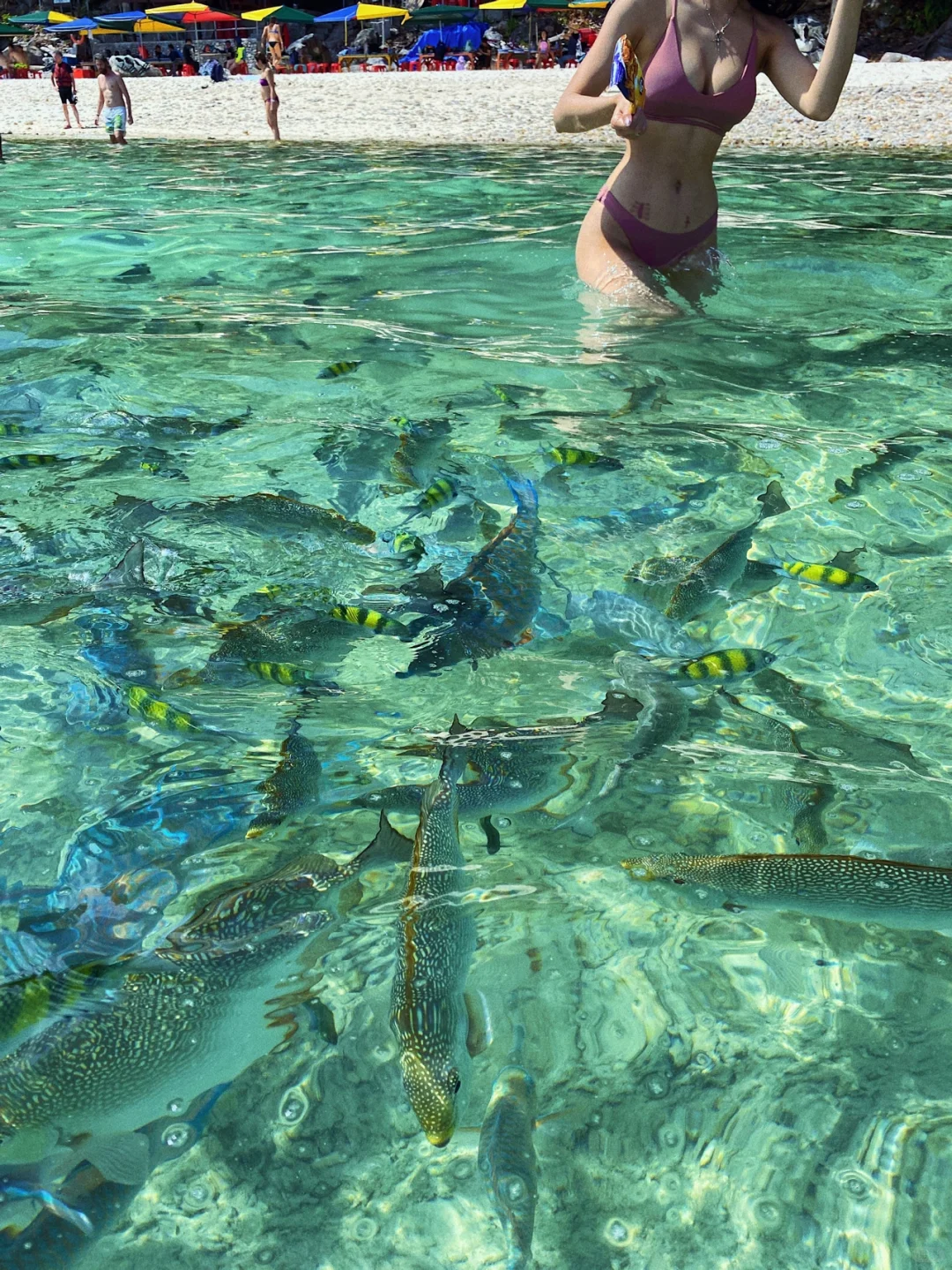 我饿了，果然性感不能当饭吃｜比基尼