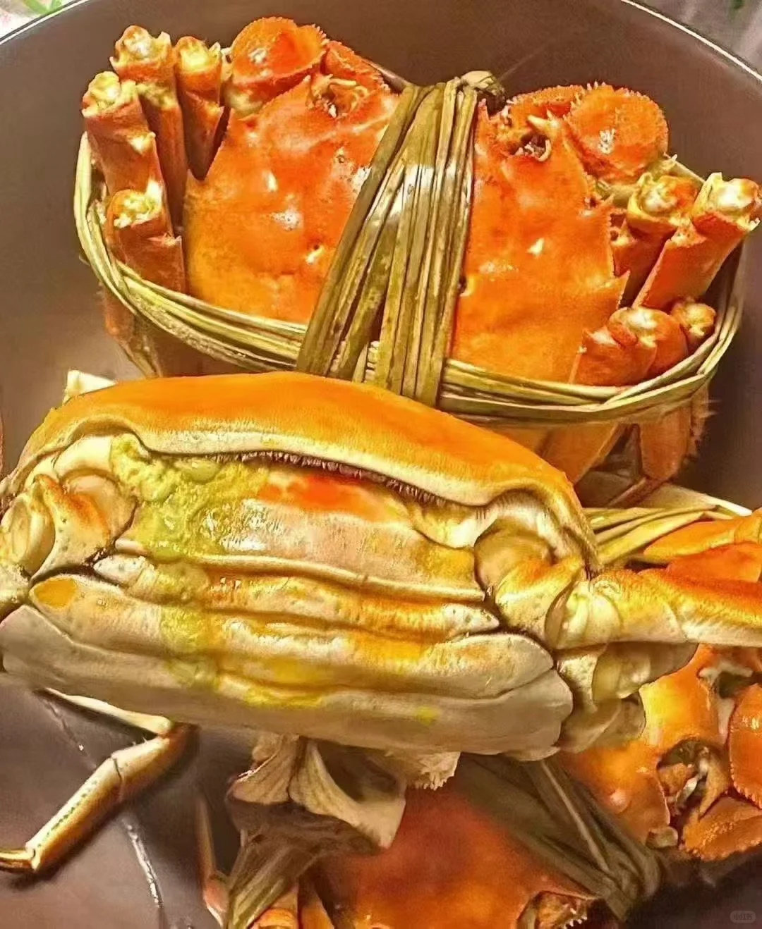 兴化大闸蟹火热预售中