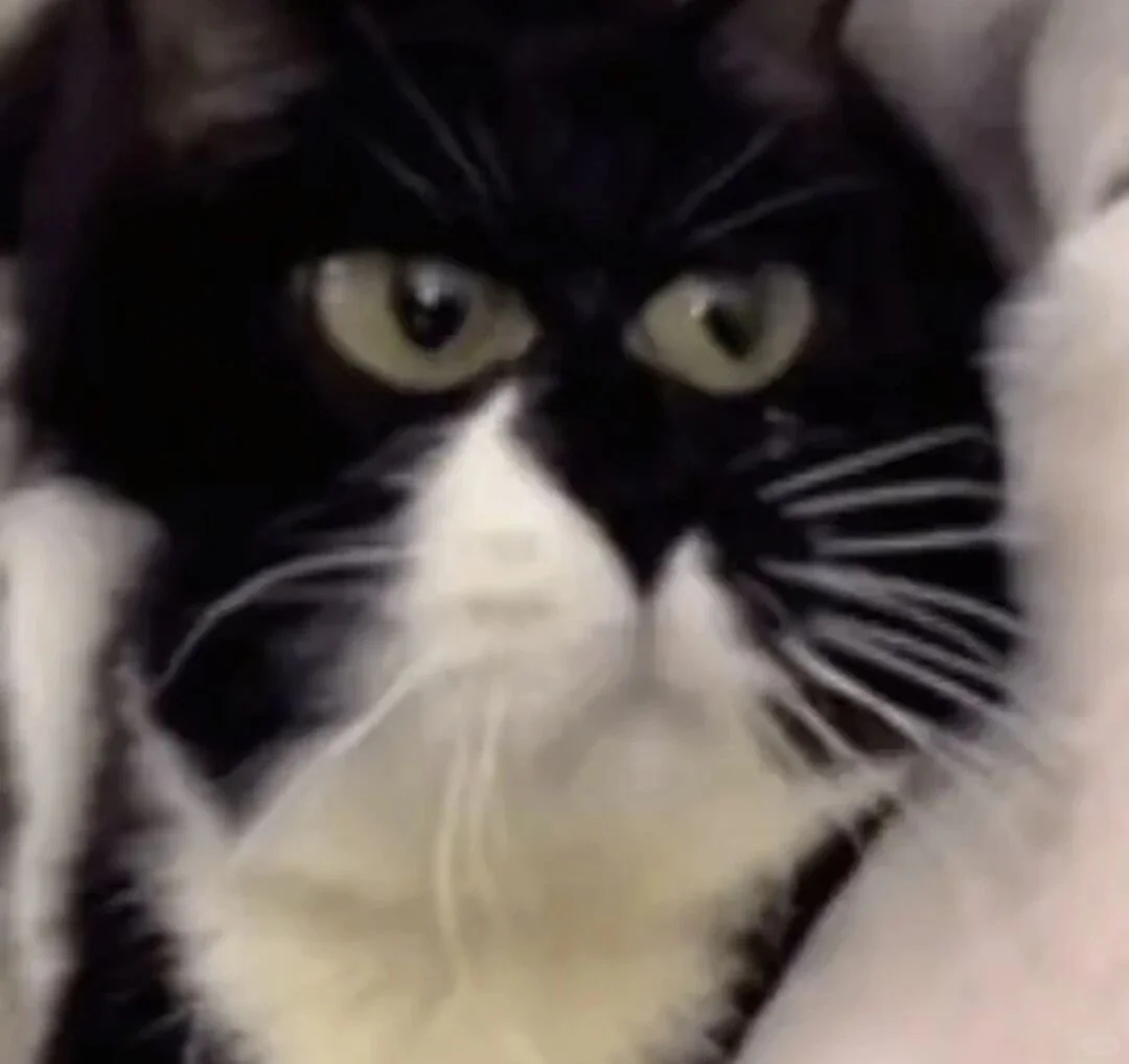 Share|抽象表情包-10.18