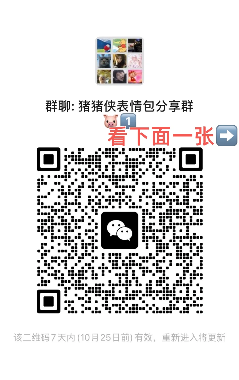 猪门永存！！！