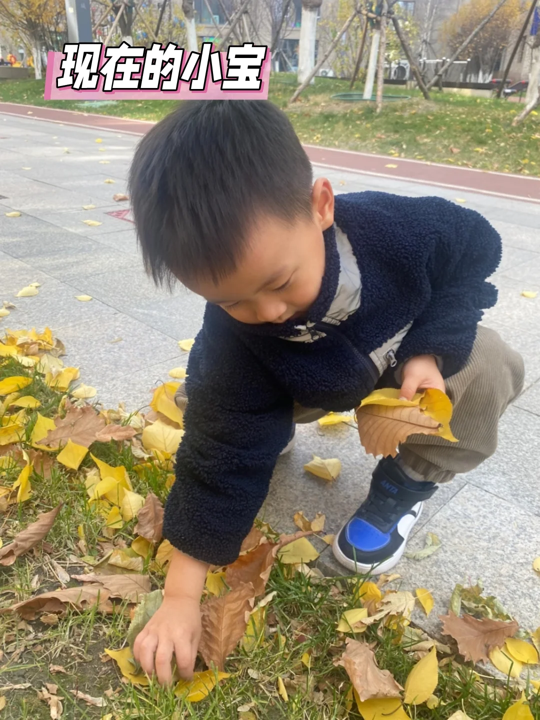 胰岛素抵抗｜已怀上岸｜如何高效备孕，看这篇