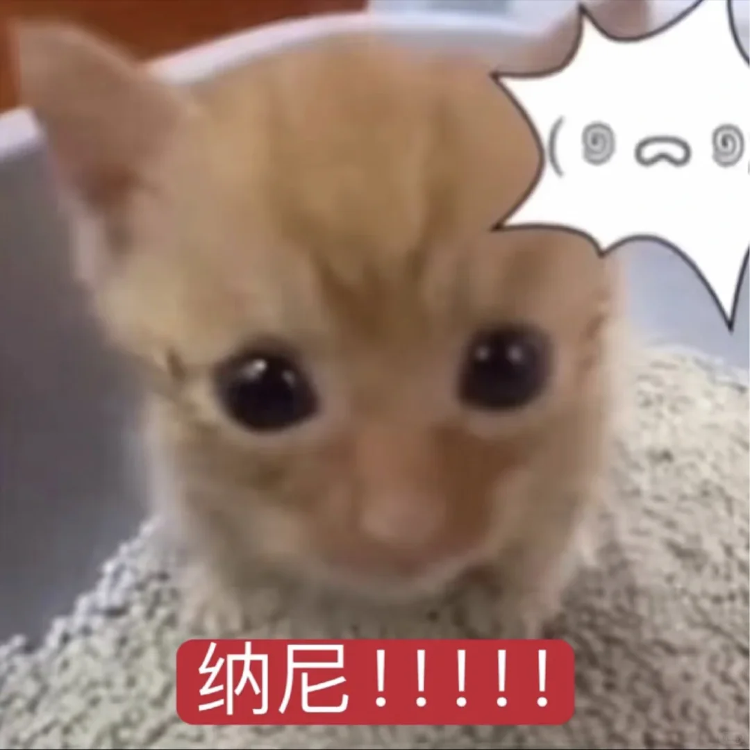 我爱你呀宝宝【审美积累第十二弹】