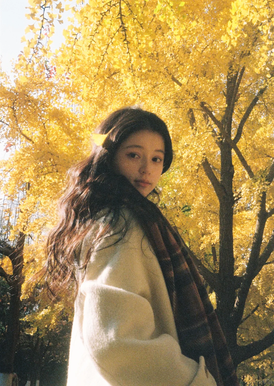 🎞秋天的胶片当然要秋天发