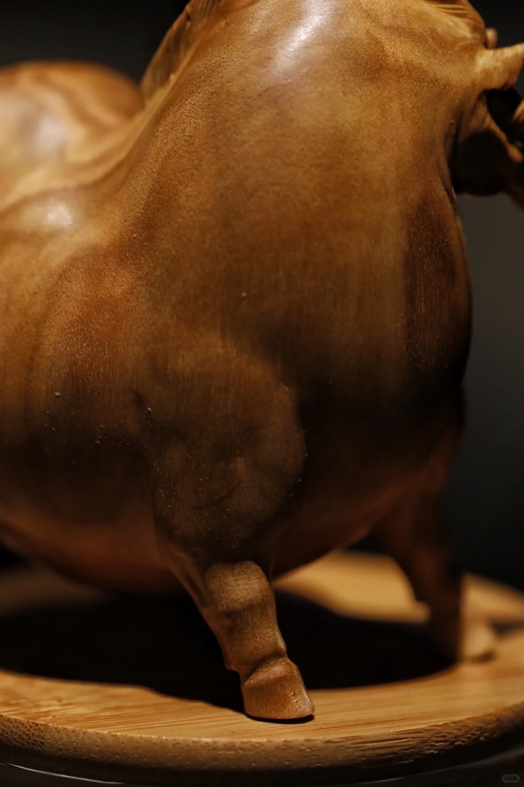 小马悠哉，静谧时光。