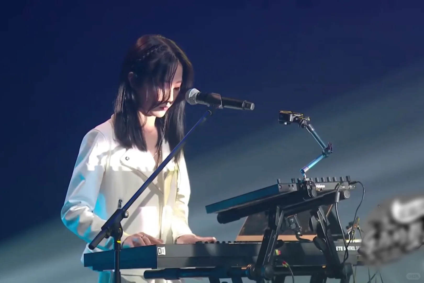 从音综里捡来的咪