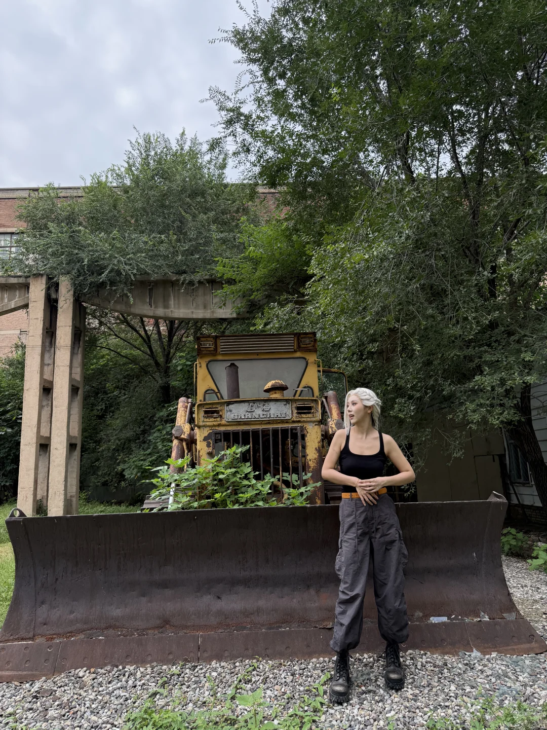 罗小黑破5亿！延档10.17！！！