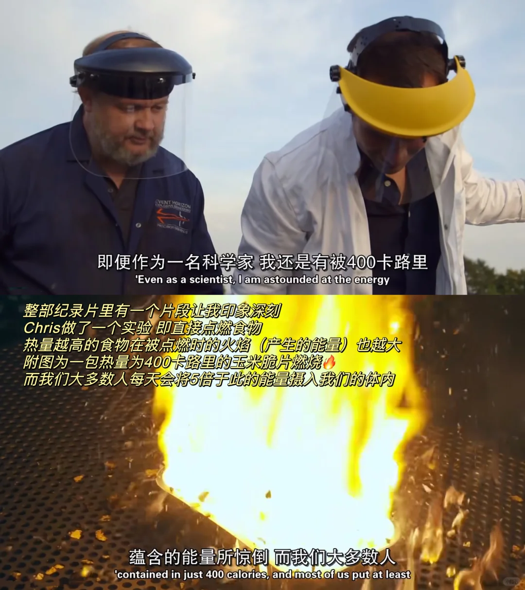 必看纪录片🎬｜关于卡路里的真相