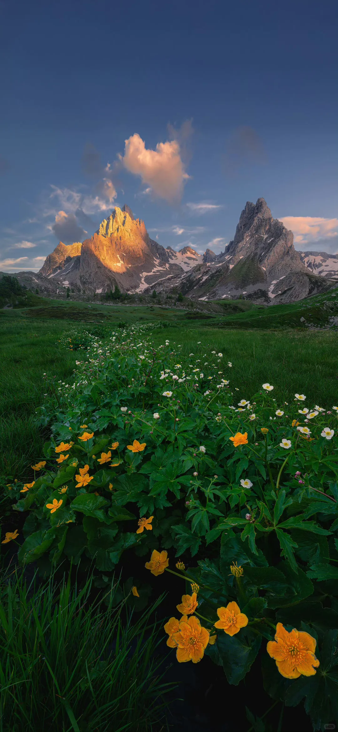 每日壁纸｜08.03