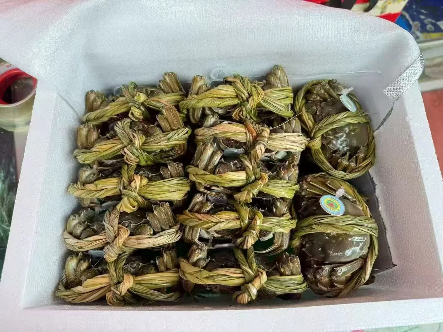 兴化大闸蟹火热预售中