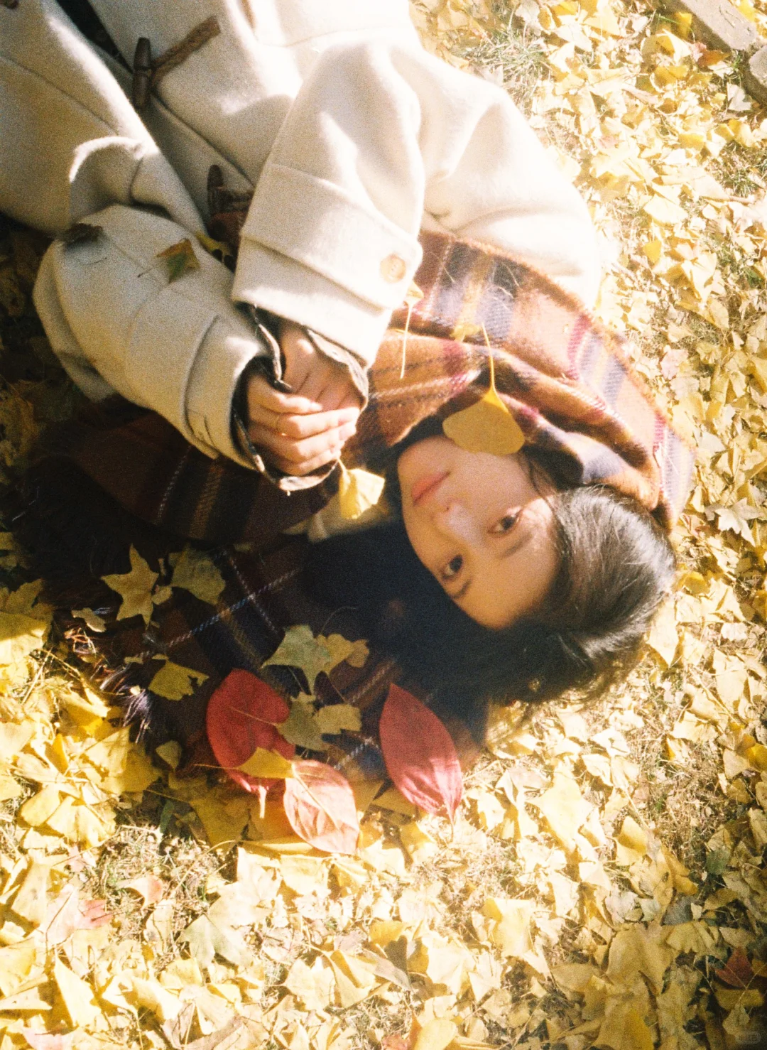 🎞秋天的胶片当然要秋天发