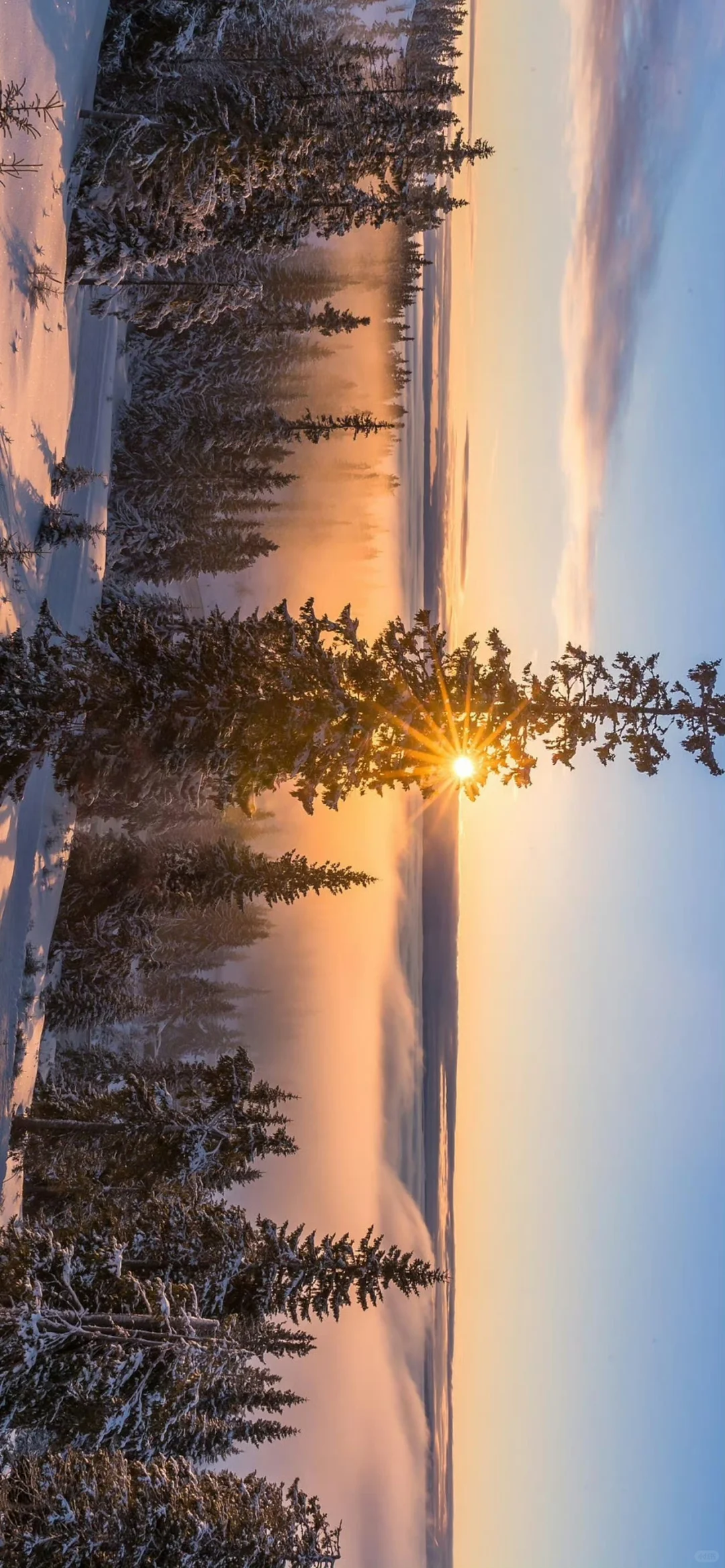 Share壁纸｜治愈系日出壁纸｜高清全屏