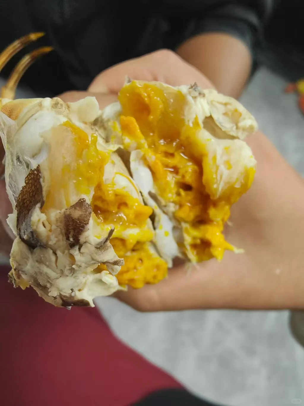 兴化大闸蟹火热预售中