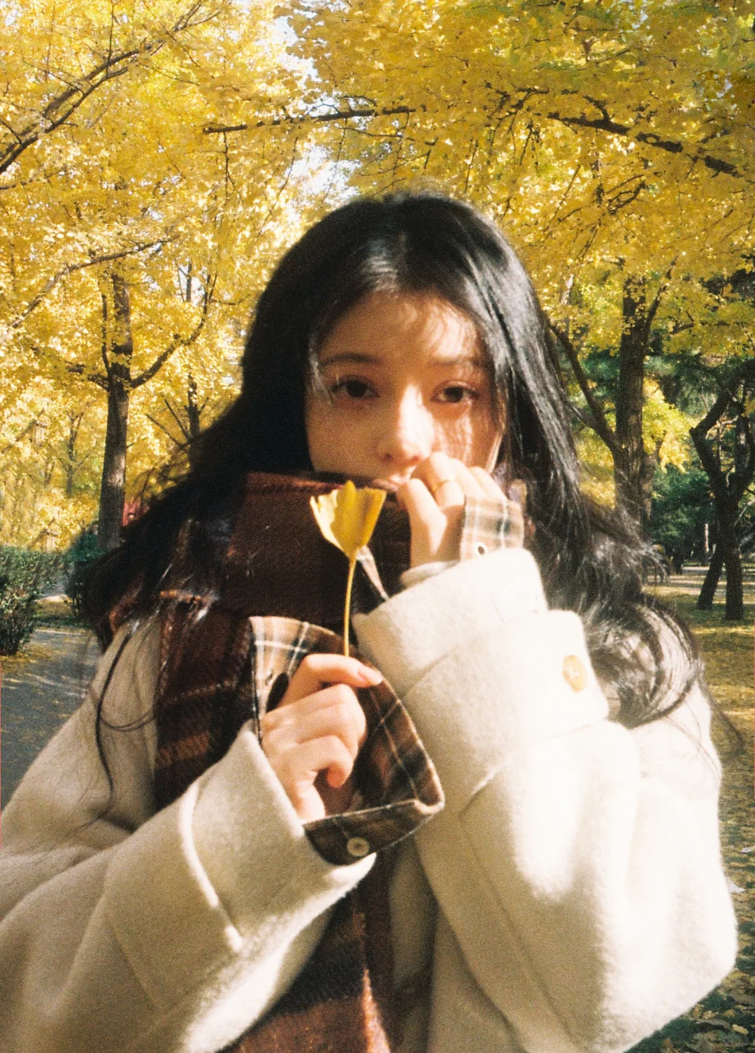 🎞秋天的胶片当然要秋天发