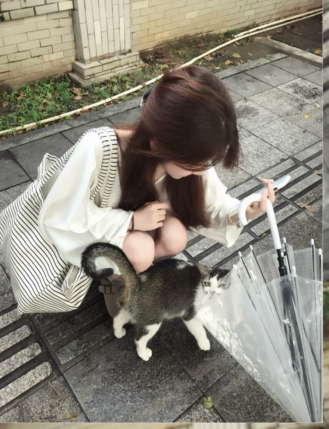 女生专属 wechat 头像，惊艳你的视