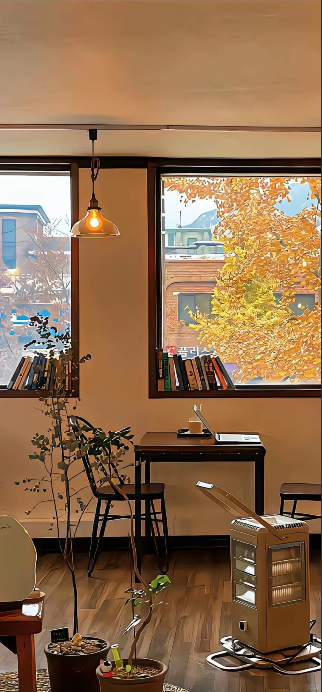 被问爆的秋日壁纸！每一张都像把秋天揣兜里