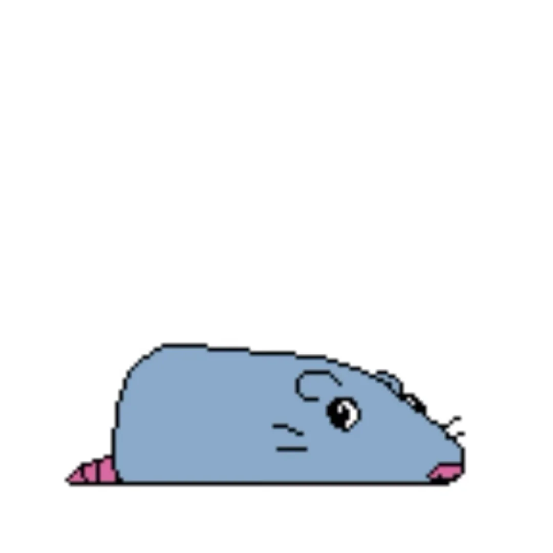 小妹妹一个人上网吗😍