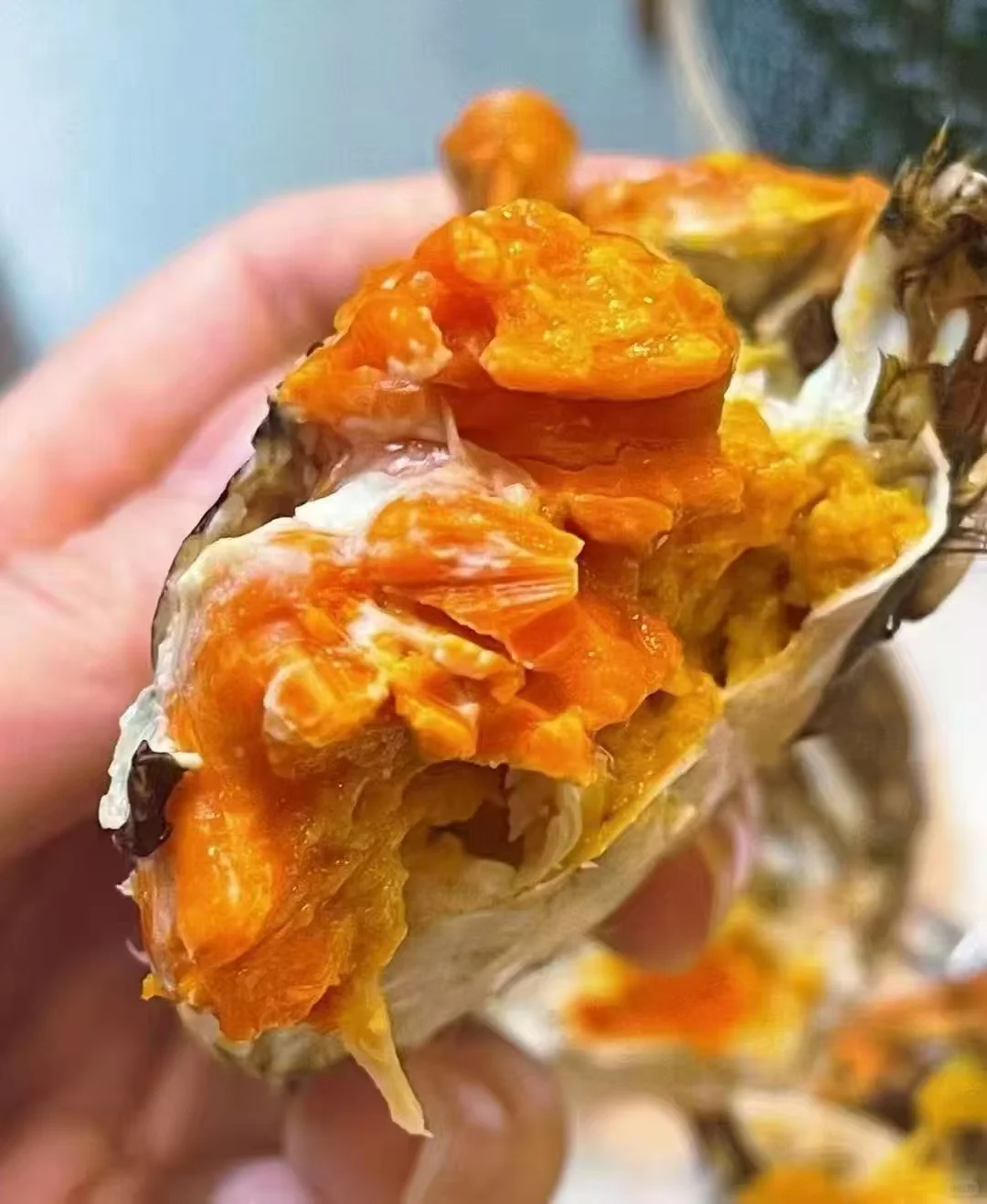 兴化大闸蟹火热预售中