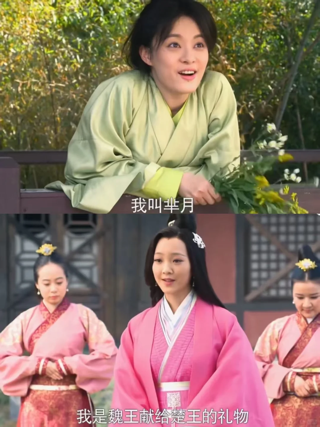 芈月好厉害用一束不起眼的花钓到了一个美人